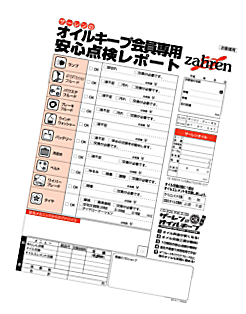 安心点検レポート